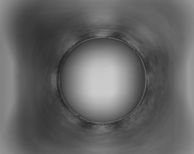 X0000113260297200909101504