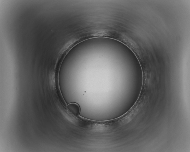 X0000113260298200909101504