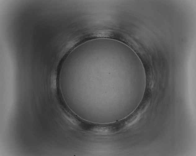 X0000113260299200909101504