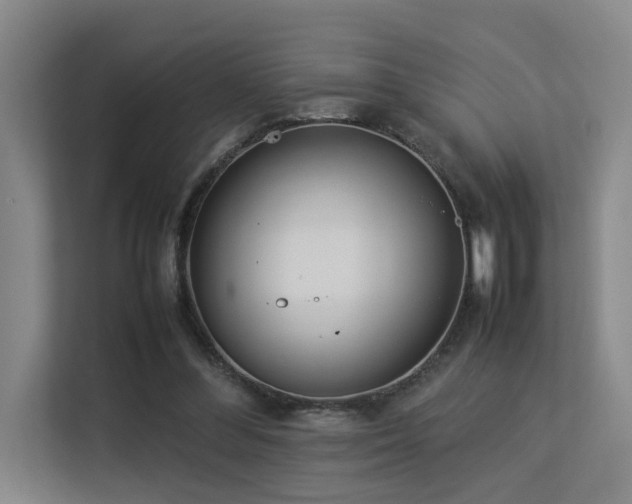 X0000113260300200909101504