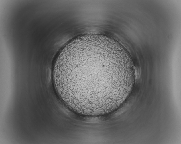 X0000113260301200909101504