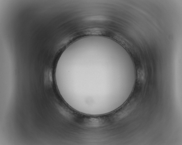 X0000113260302200909101504