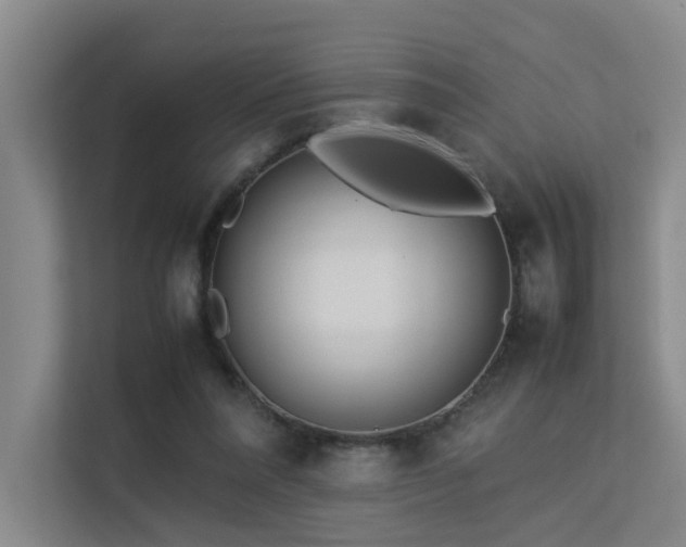 X0000113260304200909101504