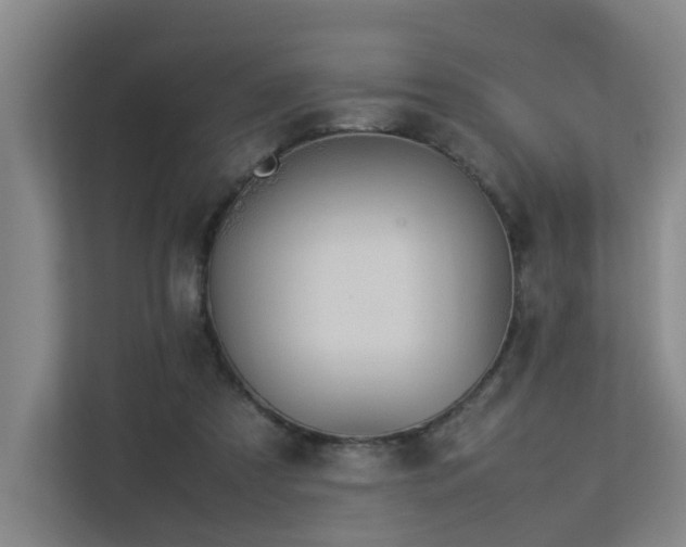 X0000113260305200909101504