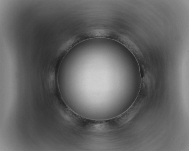 X0000113260306200909101504