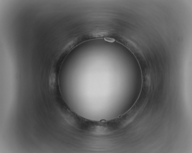 X0000113260308200909101504