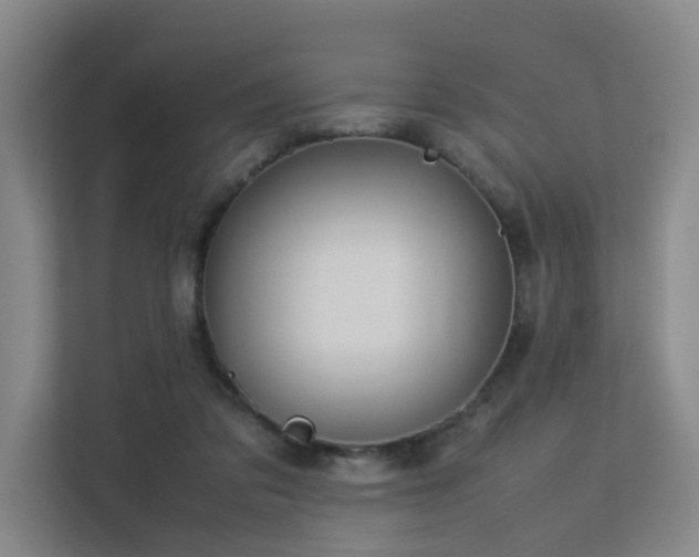 X0000113260309200909101504