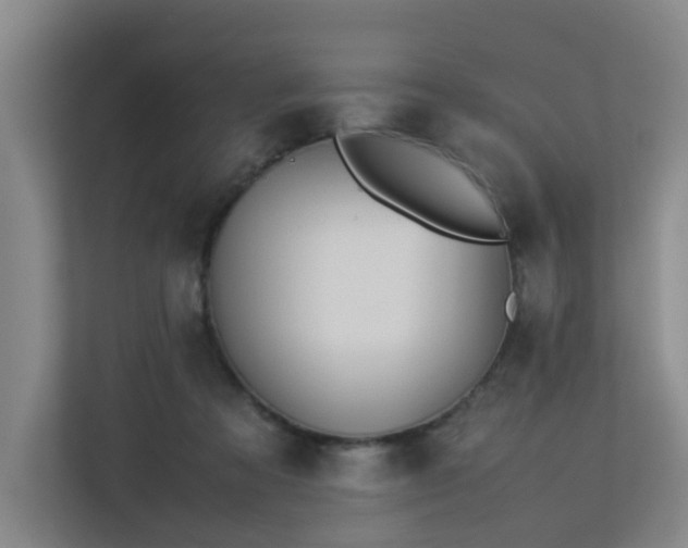 X0000113260313200909101504