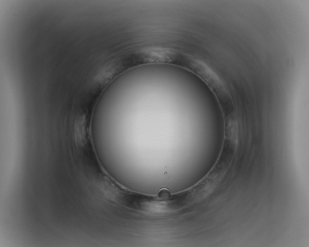 X0000113260318200909101504