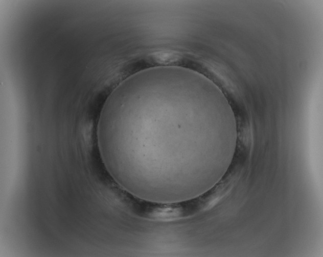 X0000113260319200909101504