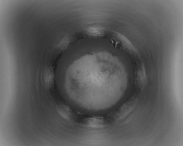 X0000113260320200909101504