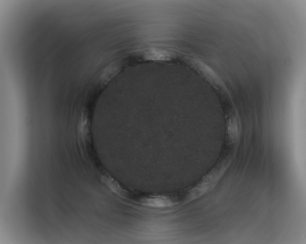 X0000113260322200909101504