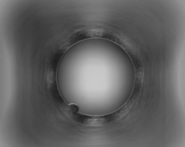 X0000113260323200909101504