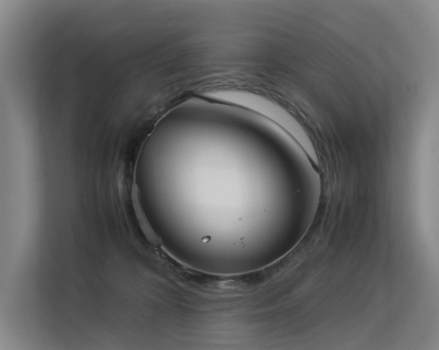 X0000113260324200909101504