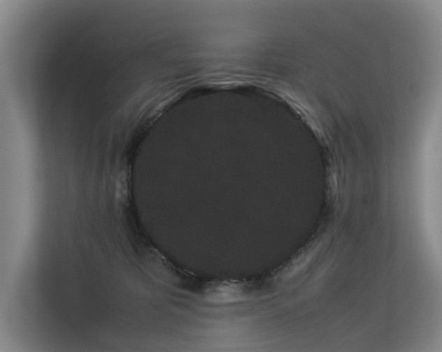 X0000113260325200909101504