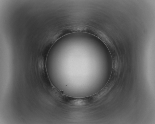 X0000113260326200909101504