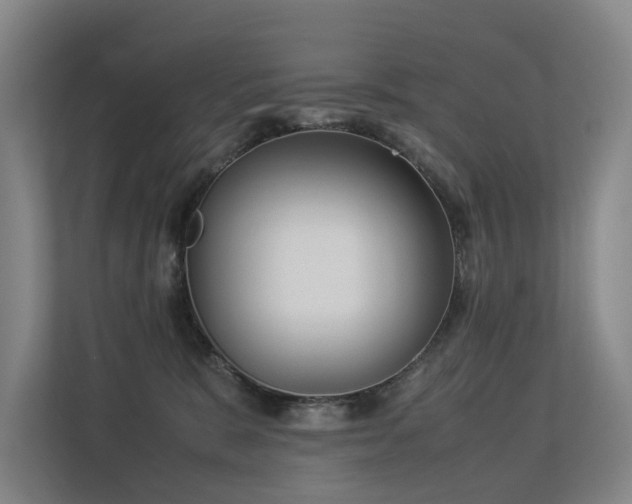 X0000113260327200909101504