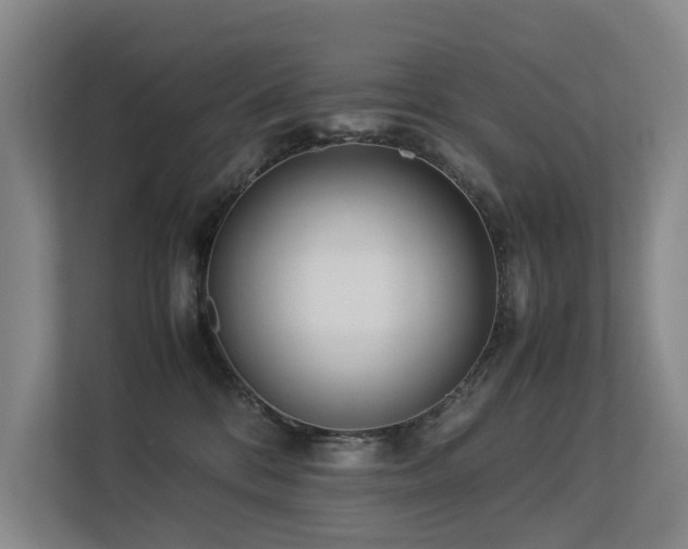 X0000113260328200909101504