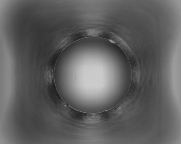 X0000113260329200909101504