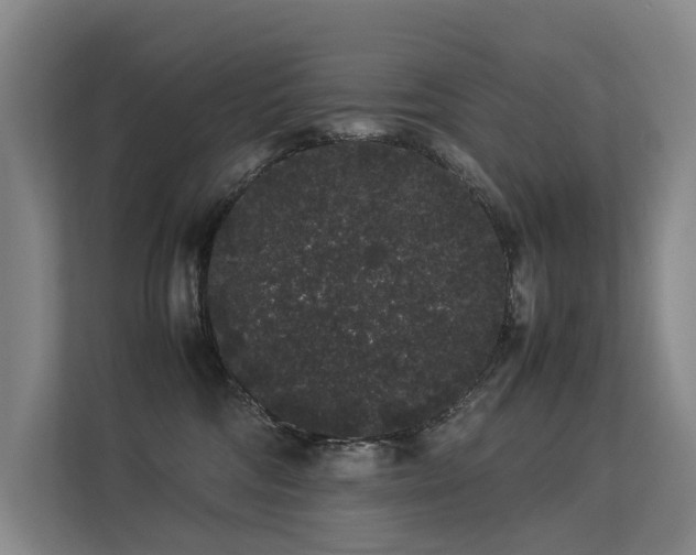 X0000113260330200909101504