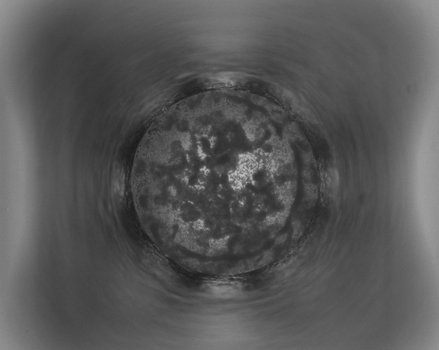 X0000113260331200909101504