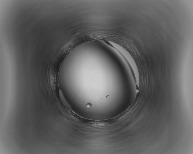 X0000113260332200909101504