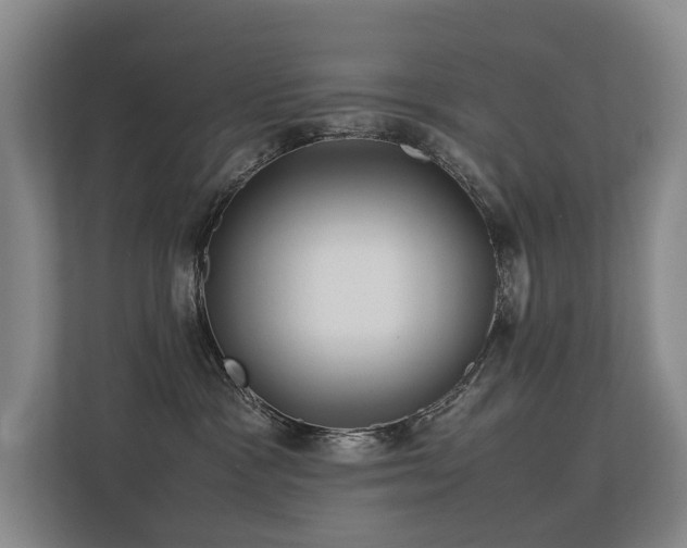 X0000113260333200909101504