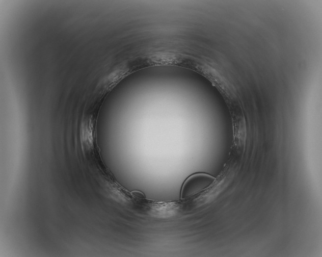 X0000113260334200909101504