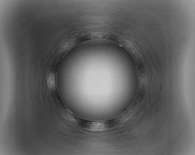 X0000113260335200909101504