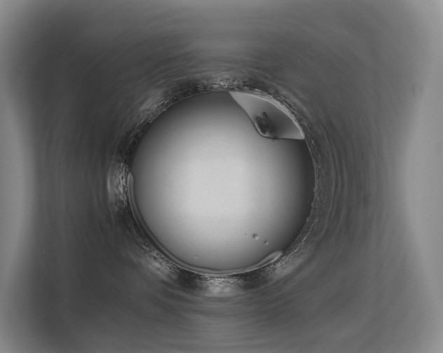 X0000113260336200909101504