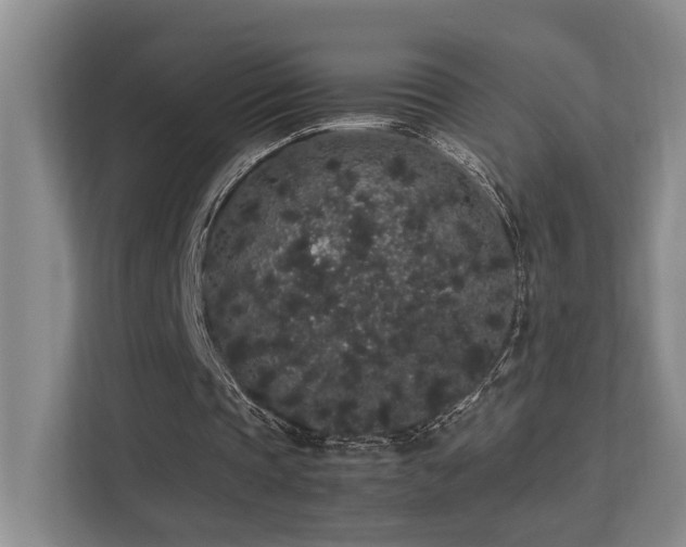 X0000113260337200909101503