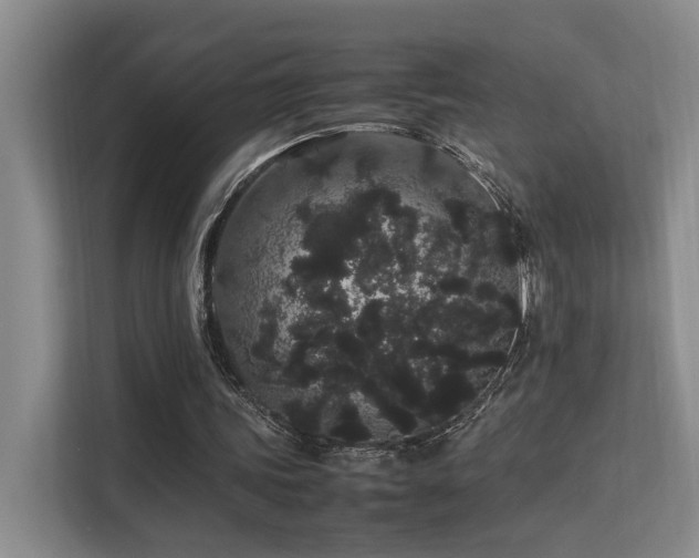 X0000113260339200909101503