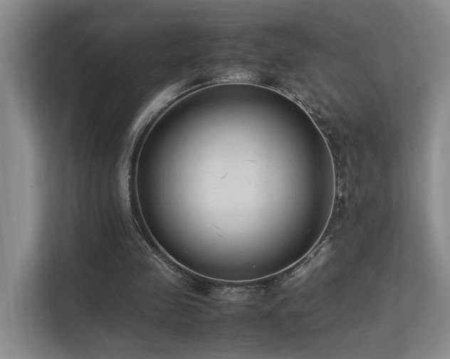 X0000113260341200909101503