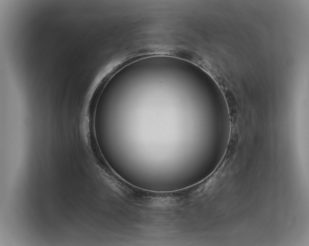 X0000113260342200909101503