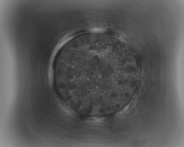 X0000113260343200909101503