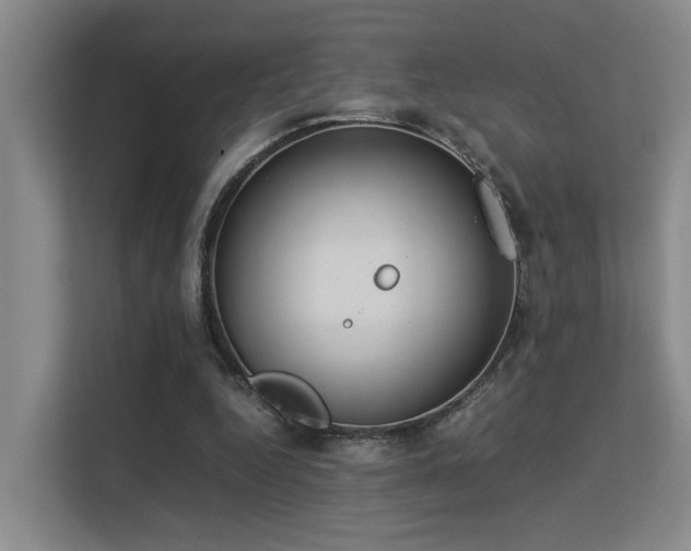 X0000113260344200909101503