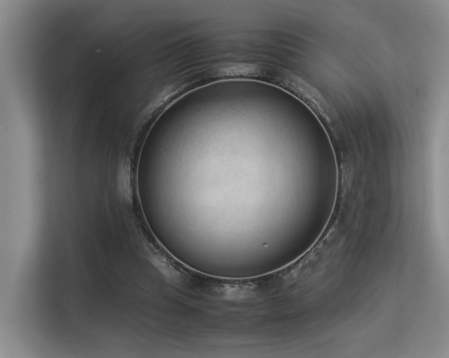 X0000113260345200909101503