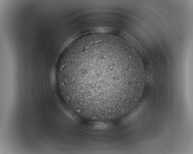 X0000113260347200909101503