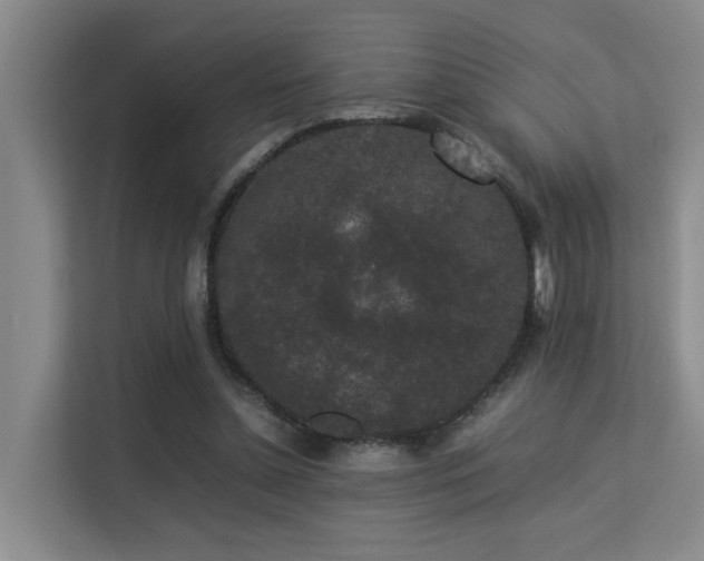 X0000113260348200909101503