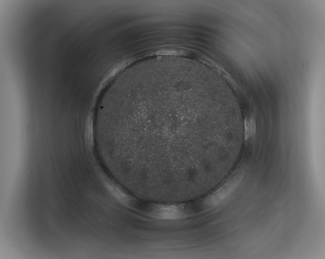 X0000113260349200909101503