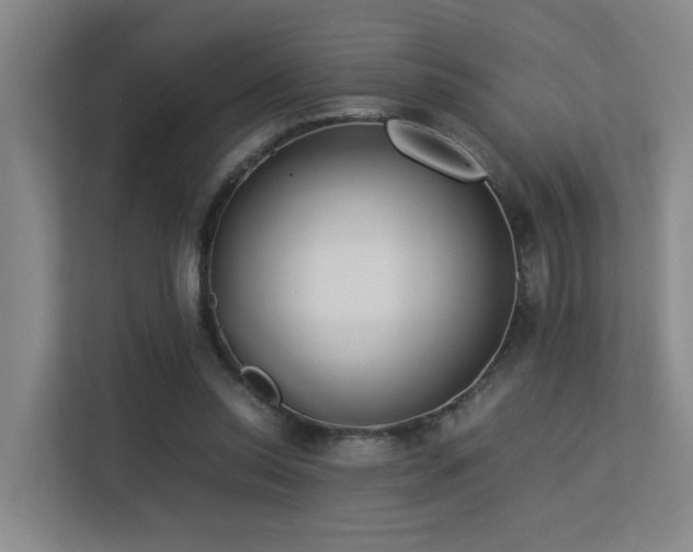 X0000113260350200909101503