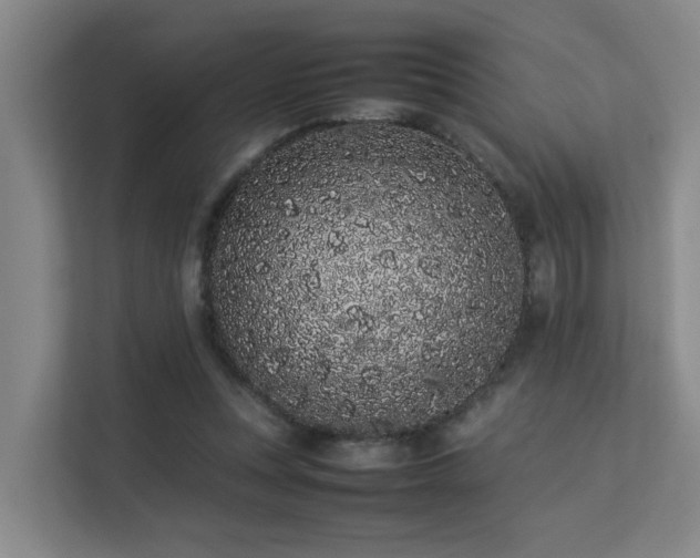 X0000113260351200909101503