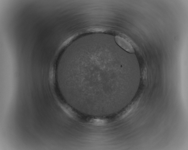 X0000113260352200909101503