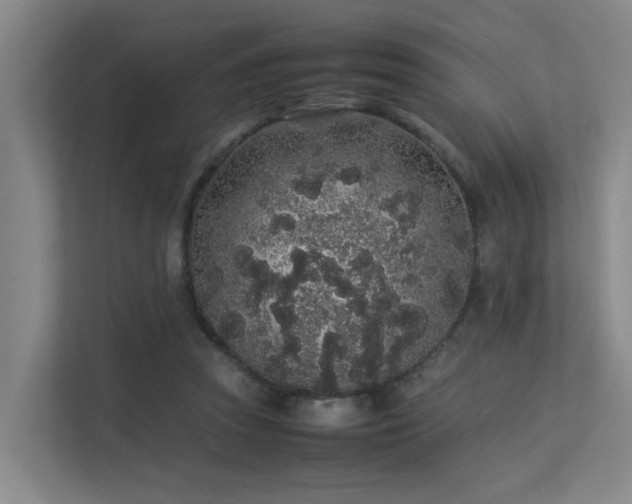 X0000113260353200909101503