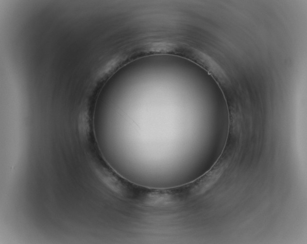 X0000113260354200909101503