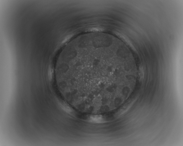 X0000113260355200909101503