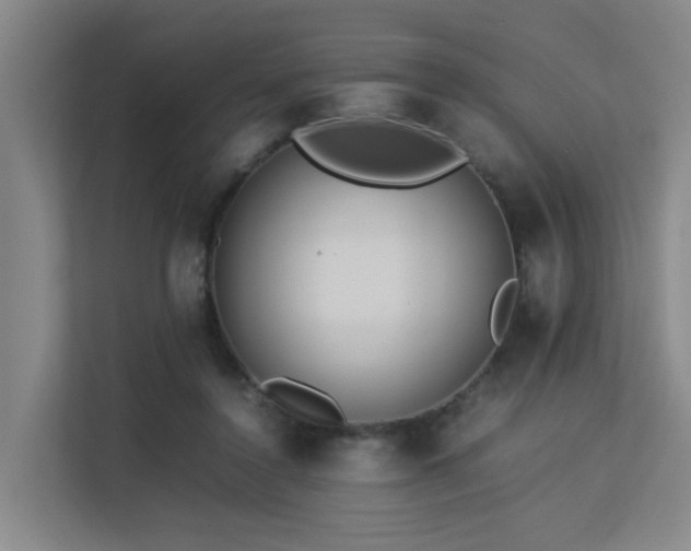 X0000113260356200909101503