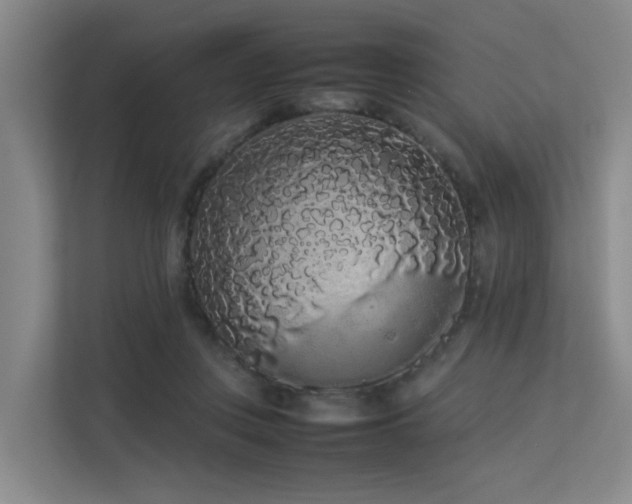 X0000113260359200909101503