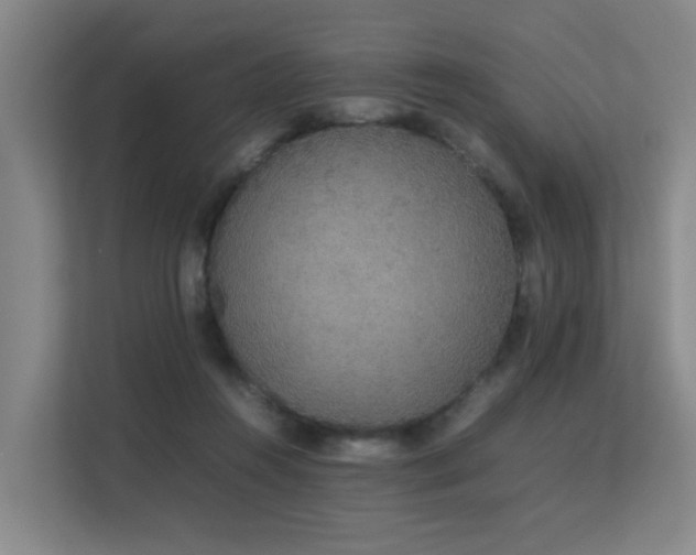 X0000113260360200909101503