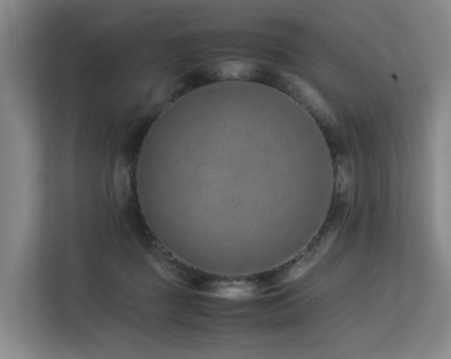 X0000113260363200909101504